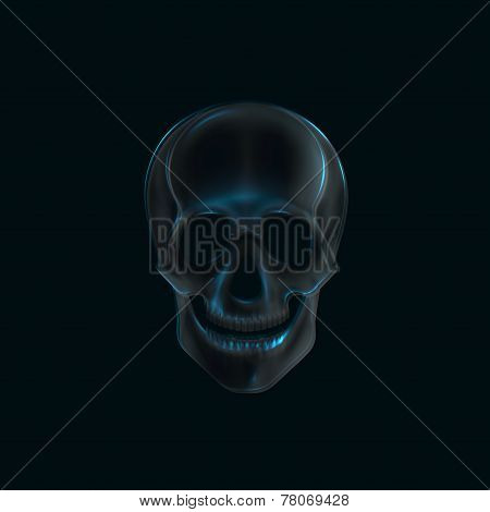 vector illustration of a human  skull x-ray print. medical concept