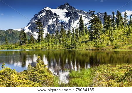Picture Lake Evergreens Mount Shuksan Washington Usa