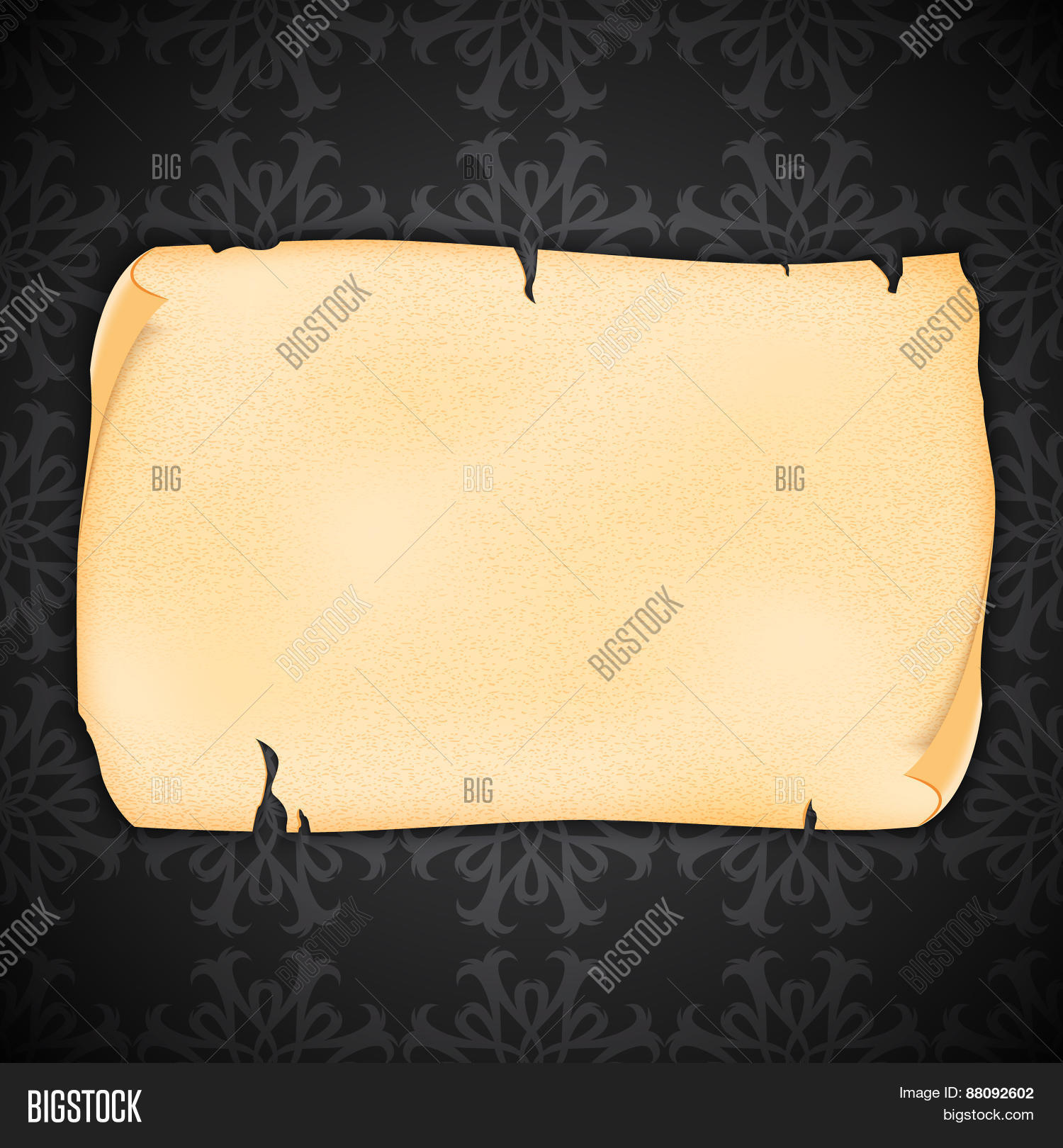 Image Preview