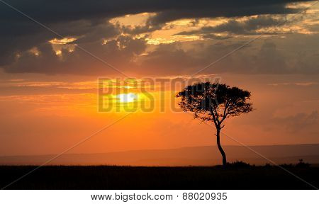 Sunset at Masai Mara