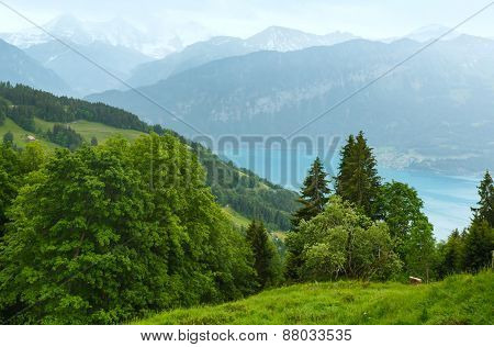 Lake Brienz Summer Top View (switzerland).