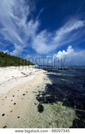 Beach Rocks And Stones
