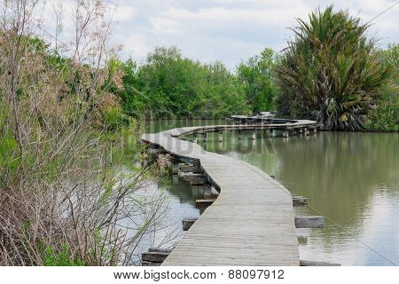 Elevated Footpath, En Afek