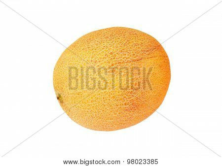 Cantaloup melon
