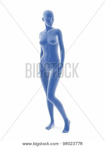 Woman Body