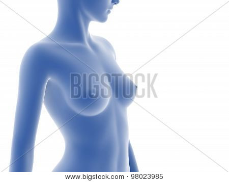 Woman Body