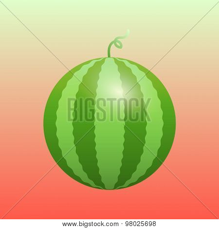 Watermelon isolated illustration