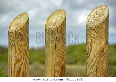 Wooden Poles