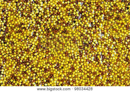 close up of French grain mustard surface