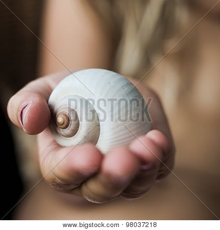 Girls Hand Holding White Snail Shell