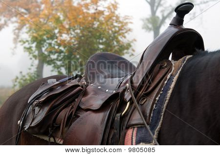Hest sadel