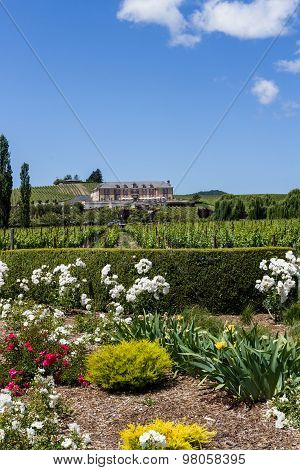 Domaine Carneros