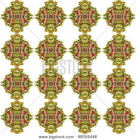 Coleus Leaves Seamless Isolated On White Background