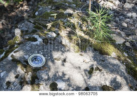 Analogic Compass Abandoned on the stone