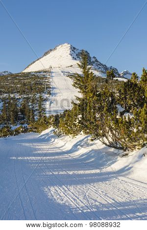 Ski Slope