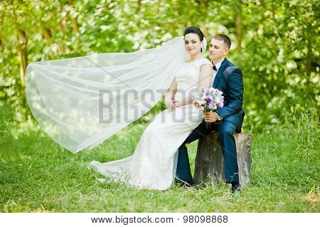 Gorgeus Wedding Couple On Green Sunny Forest