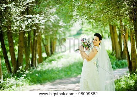 Gorgeus Brunette Bride Outdoors