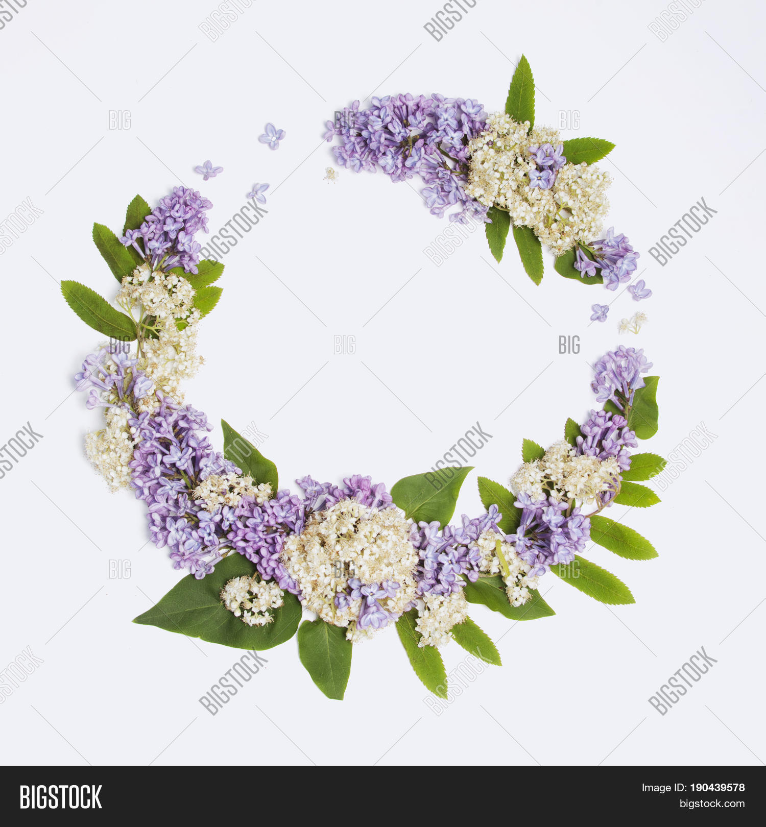 floral frame on a white background of lilac and rowanberry