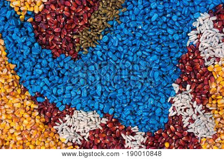 Colorful texture of chemically treated corn maize crop seed ready for seeding