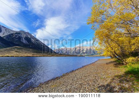 Beautiful scenery of Lake Pearson (Moana Rua) in Autumn Arthur's pass National Park South Island of New Zealand