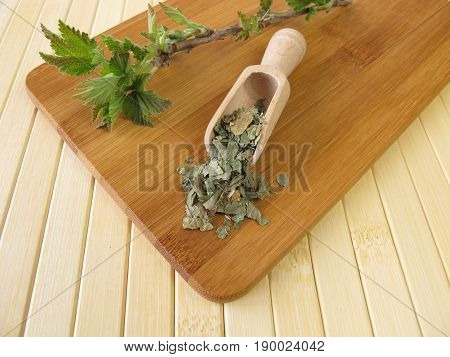 Blackcurrant leaves, Ribis nigri folium, for herbal medicine