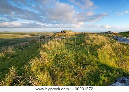 Grassy moorland at the top of Garrow Tor on Bodmin Moor in Cornwall