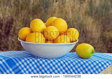 Yellow lemons in the white bowl in autumn