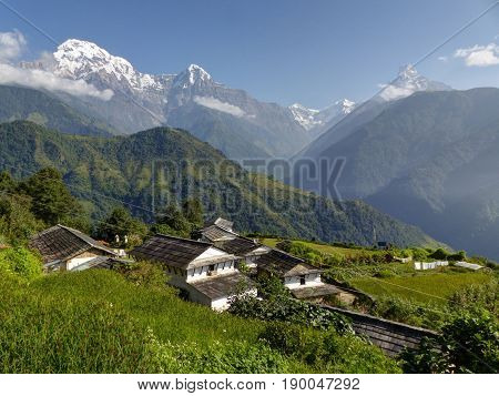 Snow capped himalaya - Annapurna Range from Ghandruk village - Nepal