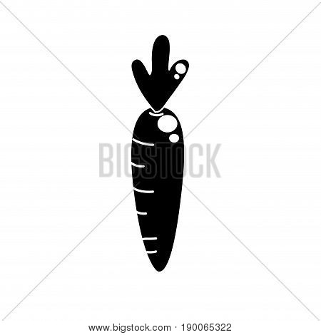 contour healthy carrot to vegan food and organic vector illustration