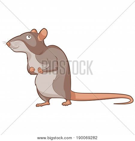 Vector image of the Cartoon smiling Rat