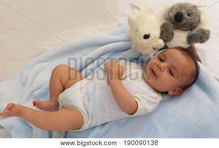 two months old baby boy surrounded by toys, koala and puppy