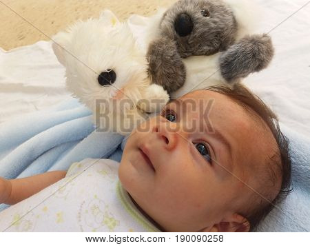 two months old baby boy surrounded by toys, koala and puppy