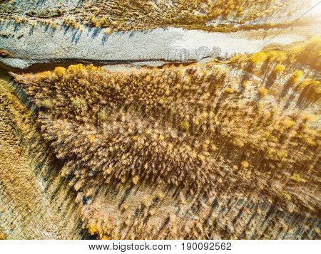 Beautiful autumn forestland with trees, wilderness, wide terrains and roads, aerial shot