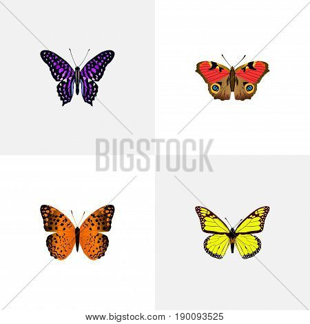 Realistic Danaus Plexippus, American Painted Lady, Archippus And Other Vector Elements. Set Of Butterfly Realistic Symbols Also Includes Butterfly, Monarch, Violet Objects.