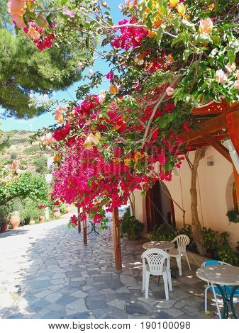 traditional terrace with flowering bushes architecture detail in Greece