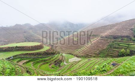 Above View Of Terraced Rice Fields On Hills