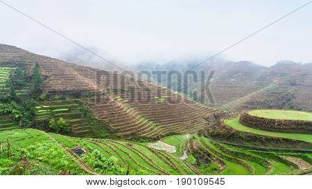 Above View Of Terraced Rice Grounds On Hills