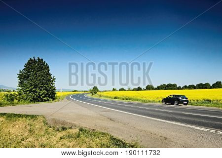 Ceske Stredohori Czech republic - May 19 2017: black car Opel Astra H stand by road between rape fields during spring afternoon
