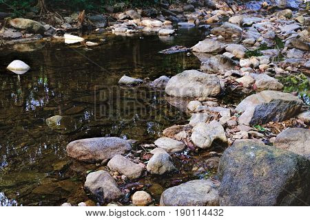 Small mountain stream in the shade of the tropical forest Mu Koh Chang National Park, Thailand. View from the trail to Khlong Phlu waterfall. Natural background.