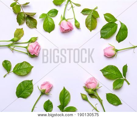 Round frame of delicate flowers. Pink roses on white background. Top view, flat design