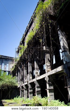 Abandoned overgrown ruins of destroyed by war Tkvarcheli (Tquarhcal) power plant, Abkhazia, Georgia