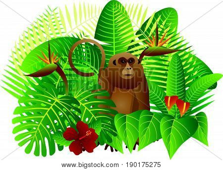 Tropical Rain Forest Jungle Plants with Leaves Flowers and Monkey Isolated on White Background Color Illustration