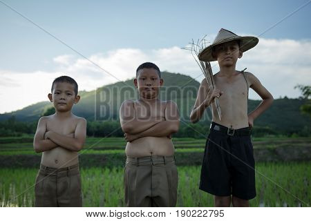 Children Little fisherman standing ready go to catch fish in the rice field of theirs. And children lifestyle in Southeast asia Thai-Laos and Cambodia.