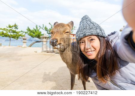 Woman taking selfie with deer in Itsukushima