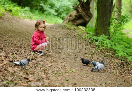 Girl feeds city pigeons in the park.