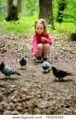 Girl feeds city pigeons in the park.