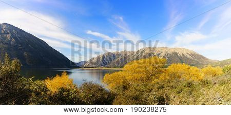 Panoramic image of beautiful Lake Pearson (Moana Rua) in Autumn Arthur's pass National Park South Island of New Zealand