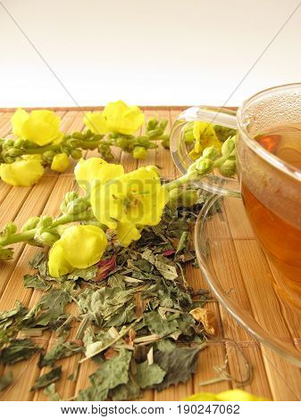 Cup of tea with mullein flowers and fresh flowers
