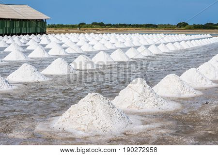 Heap of sea salt in original salt produce farm make from natural ocean salty water preparing for last process before sent it to industry consumer.It is made in Thailand