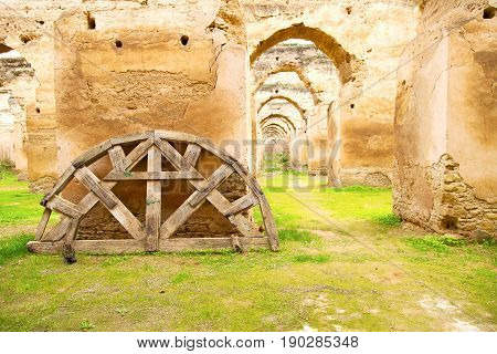 Old Moroccan Granary  The Cat